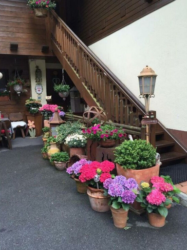 Balcony, Holiday Apartment Bergstille, Imst
