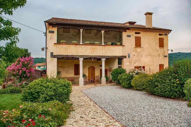 Others 3, Casa Dal Zotto, Treviso