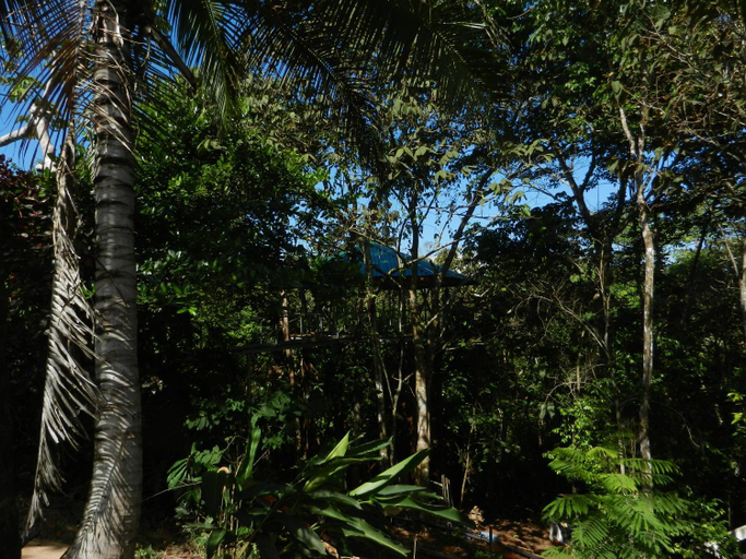Others 3, TREEHOUSE PILON PAVONES, Golfito
