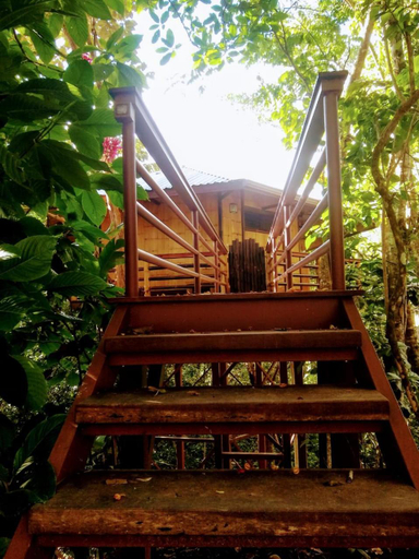 Others 4, TREEHOUSE PILON PAVONES, Golfito