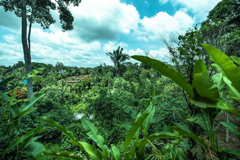 Scenery 5