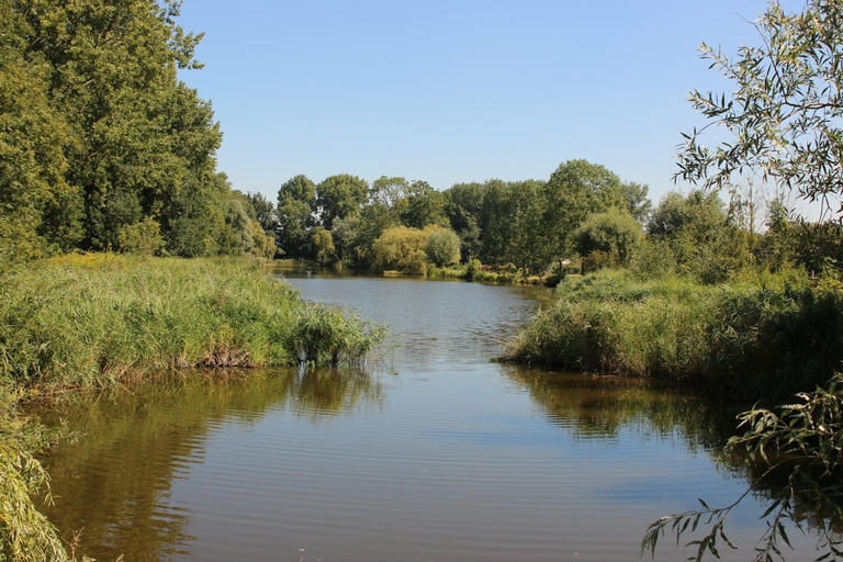 Others 5, Vakantiepark Delftse Hout, Delft