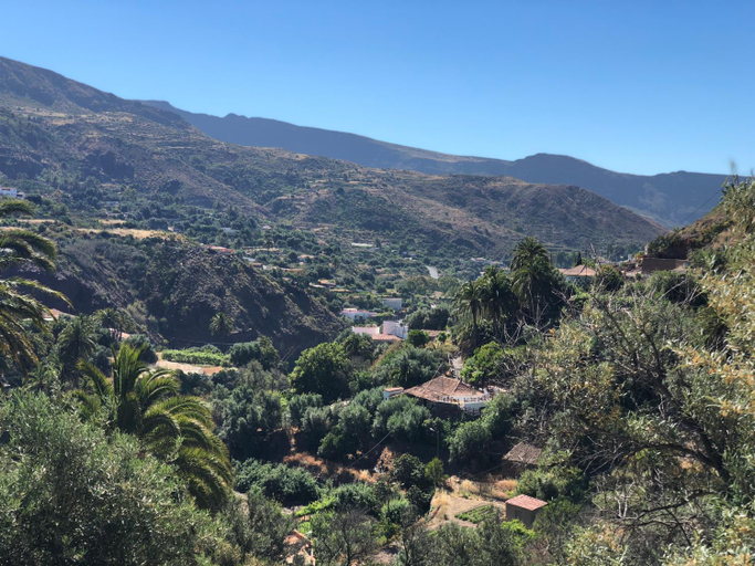 2, Finca Mariola - Centenaria, Las Palmas