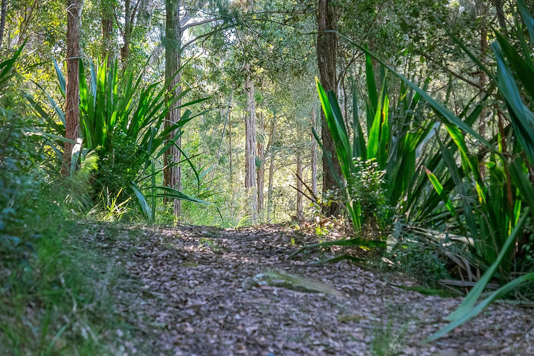 Others 4, Pure Valley Estate, Gosford - West