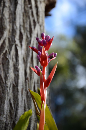 Others 5, Pure Valley Estate, Gosford - West