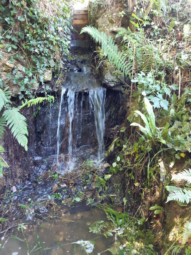 Others 5, Grand gite dans son ecrin de Nature, Maine-et-Loire