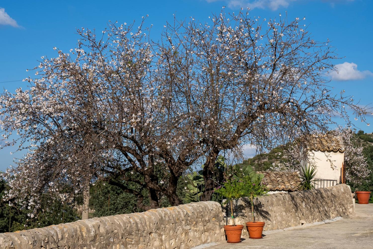 Exterior & Views 1, La Dimora delle Coste, Ragusa