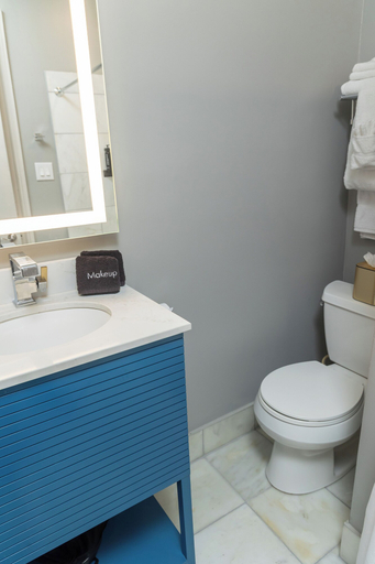 Bathroom 4, Lamothe House, Orleans