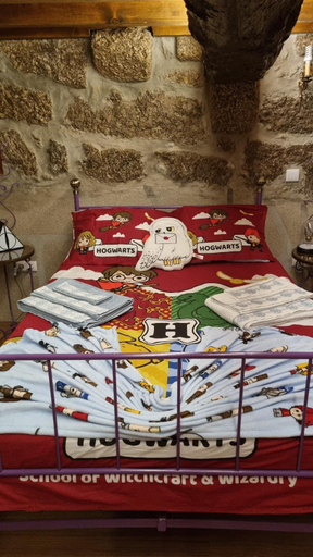 Others 4, Casa da Relva Experiencia Tematica Inspirada em Harry Potter, Lamego