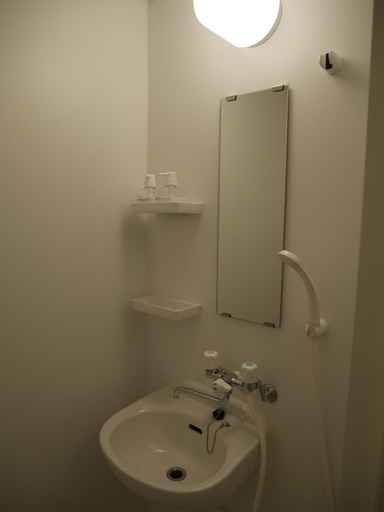 Bathroom, Akashi Churauma House, Ishigaki