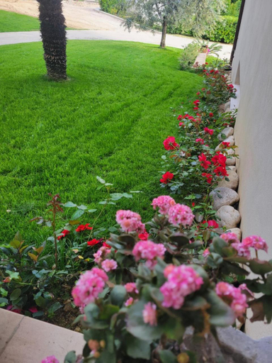 5, Casale Angela, Chieti