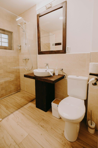 Bathroom 5, Pensiunea Poiana Vladesei, Sacuieu