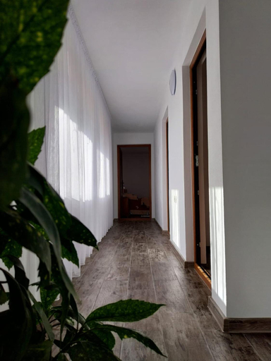 Others 4, Casa Stefi si Alexia, Polovragi