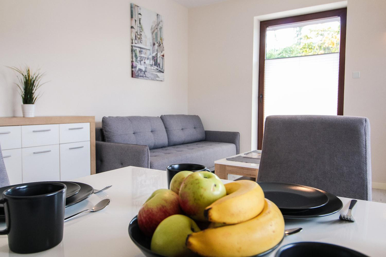 Others 5, Apartament City Center Classic - Luxury Standard, Nowy Sącz