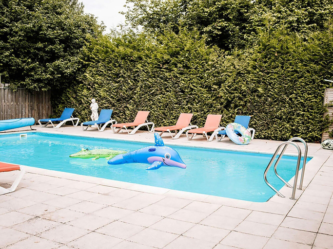 Pool, Chalet in Blesdijke Near Weerribben Park, Weststellingwerf
