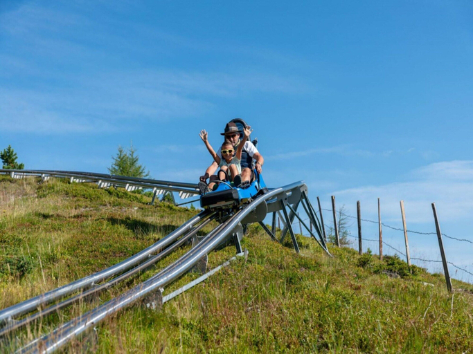 Others 3, Chalet in Austria near Ski Resort, Murau