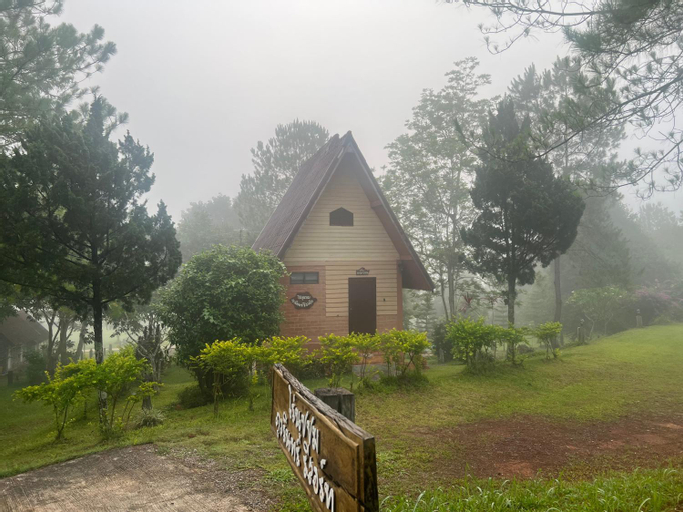 Scenery 7