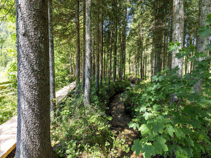 View from property, Holiday Home in Ferlach Near Woerthersee, Klagenfurt Land