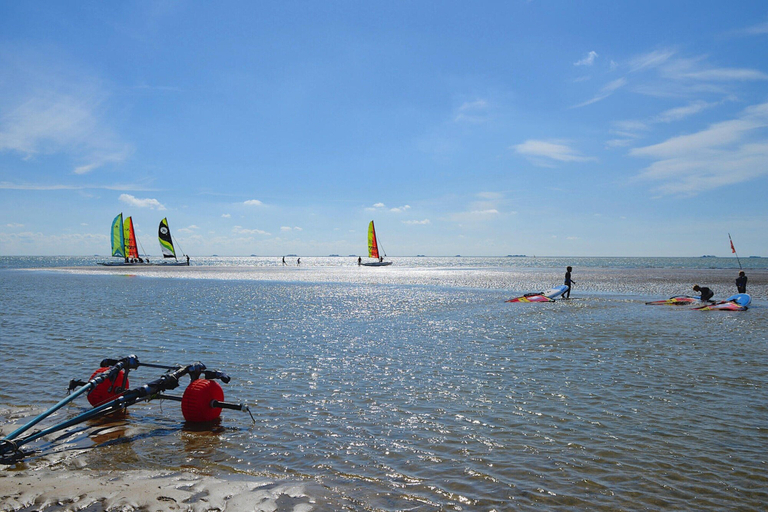 View from property 3, Cottage, Witsum, Nordfriesland