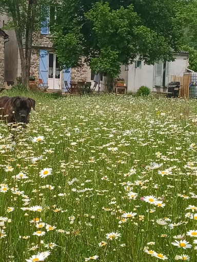 Others 3, La taniere, Cantal