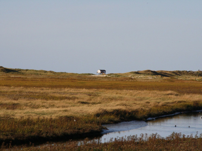 View from property 4, Reihenhaus, St. Peter - Ording, Nordfriesland