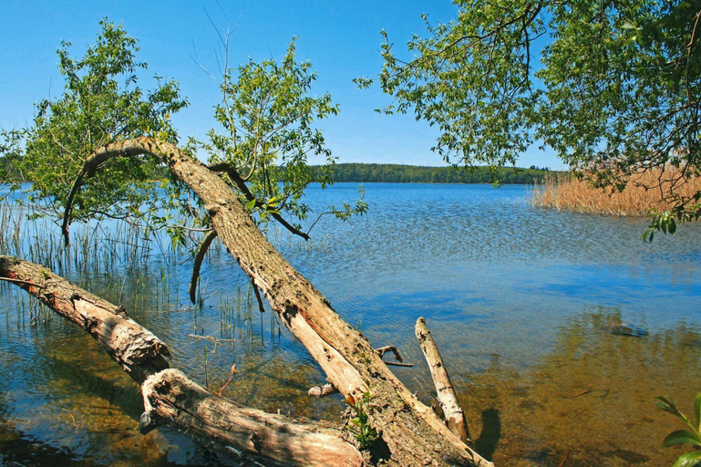 Others 5, Bungalow am See mit Ruderboot in Klein Labenz, Nordwestmecklenburg