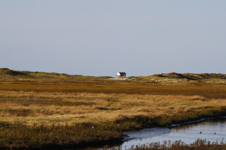 View from property 3, Reihenhaus, St. Peter - Ording, Nordfriesland