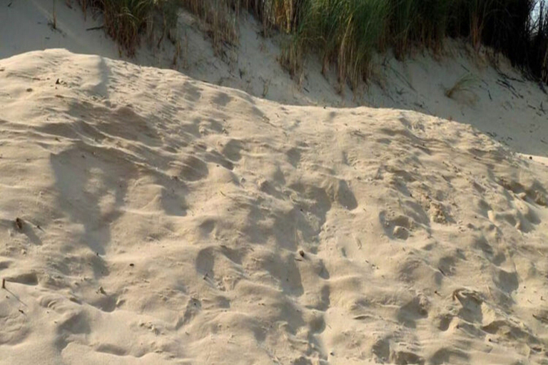 Aerial view, Borkum Ideal 71 A Comfortable Holiday Residence, Leer