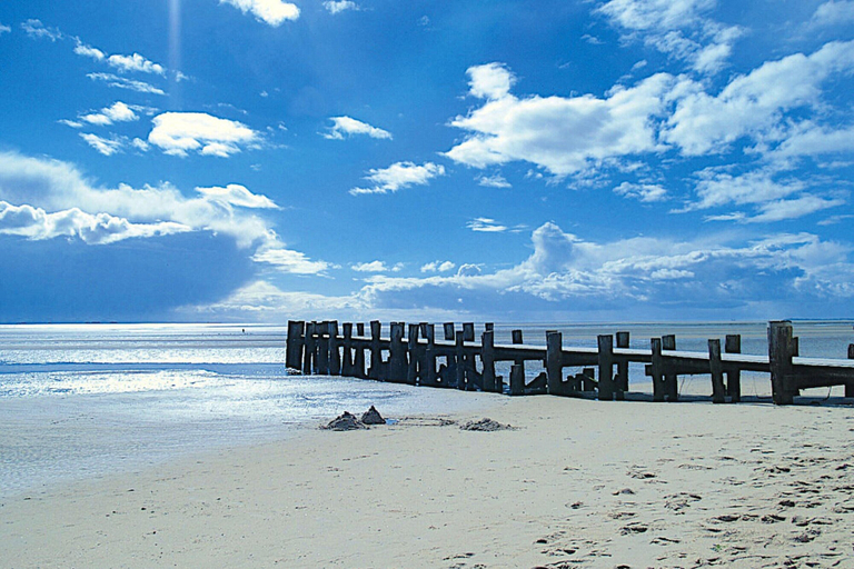 Beach, Doppelhaus in Oldsum auf Foehr, Nordfriesland