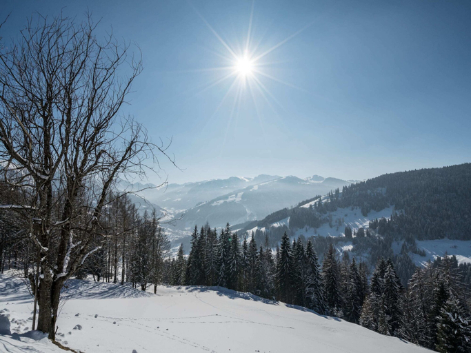 View from property 5, Spacious Cottage near Ski Area in Wagrain, Sankt Johann im Pongau