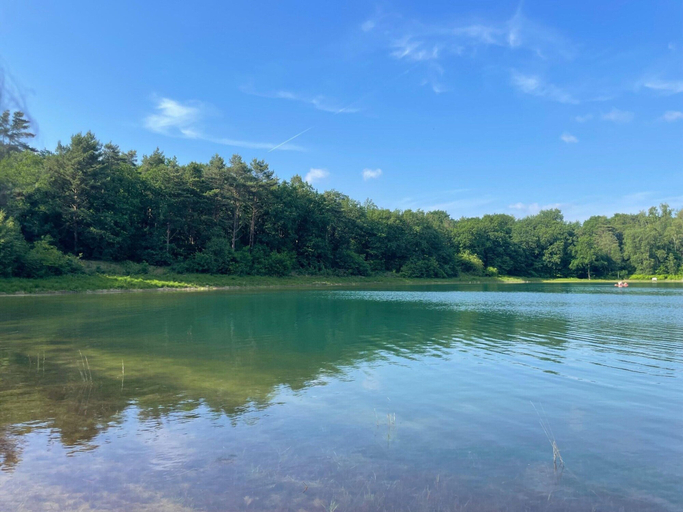 View from property 3, Ferienhaus, Wiefelstede-lehe, Ammerland
