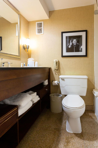 Bathroom 4, Comfort Inn & Suites Baltimore Inner Harbor, Baltimore