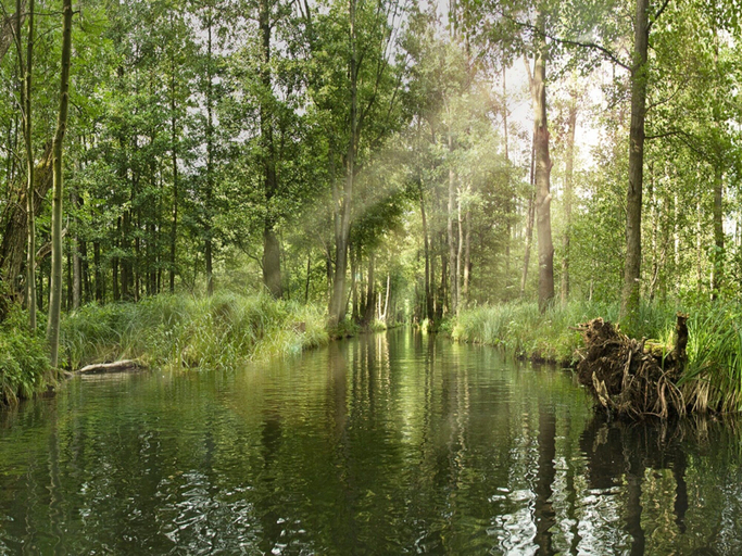 View from property 4, Appartements mit Blick auf die Spree in Lubben, Dahme-Spreewald