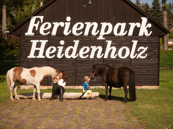 Game room 5, Seepark Heidenholz, Plau am See, Ludwigslust-Parchim