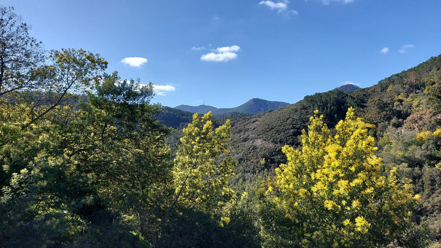 Others 5, LES ROCHES DE BAUDISSET, Var