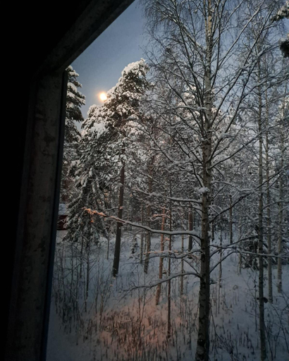 Surrounding environment 4, Room in Polar Circle, Lapland