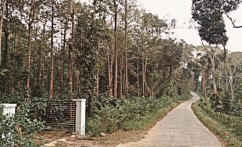 Scenery 2