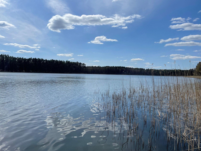 View from property 5, Ferienhaus Seeblick, Schonberg, Ostprignitz-Ruppin