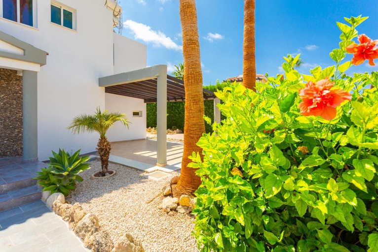 Facilities 5, Villa Zenon