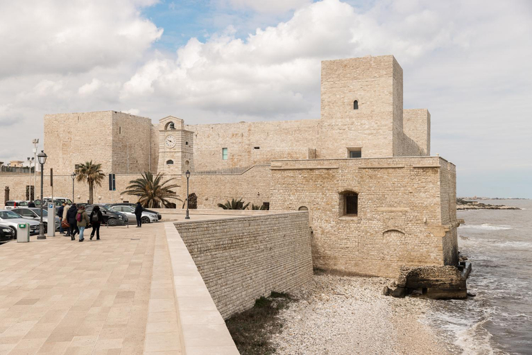 Others 4, Camera TOP, Barletta-Andria-Trani