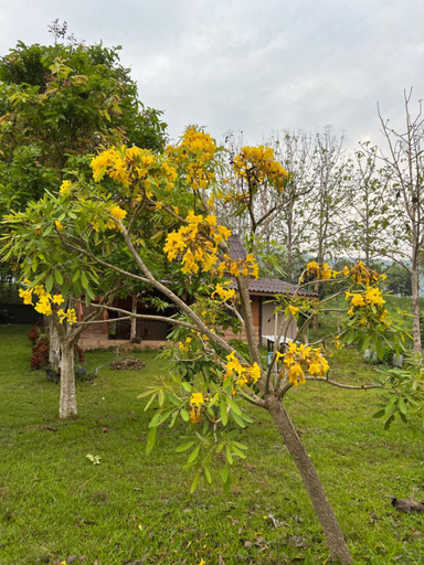 Scenery 12