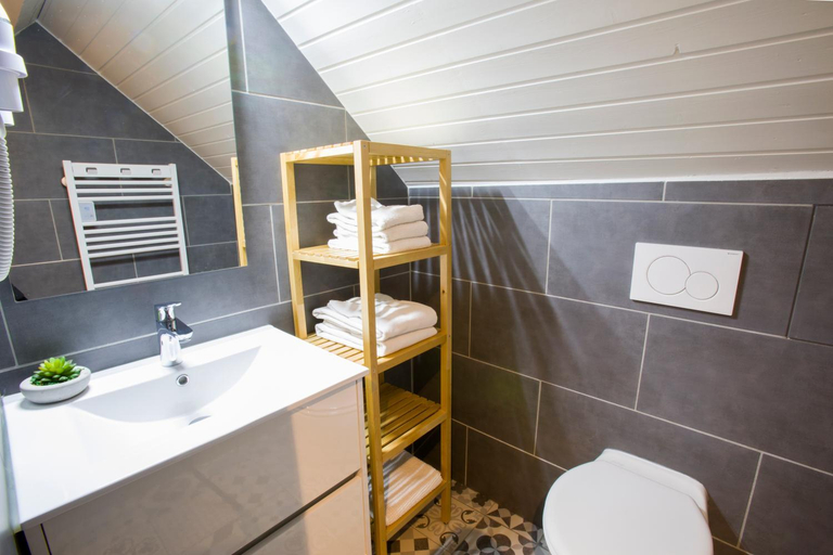 Bathroom 3, Appartement Les Tournesols avec Climatisation, Haut-Rhin