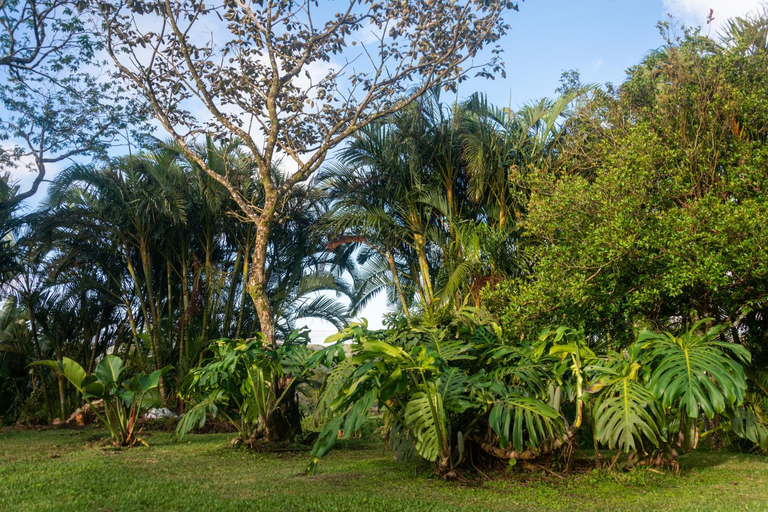Others 2, Vista Lago Arenal, Tilarán