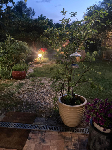 Others 5, Le Mas du Sud, Var