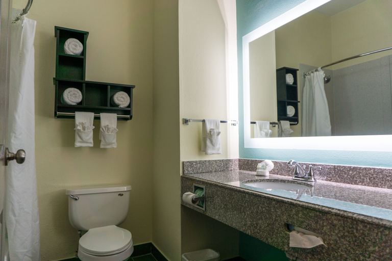 Bathroom 4, Best Western Mayport Inn & Suites, Duval