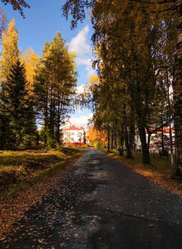 Others 5, Hostel Bjorkenheim, Southern Ostrobothnia