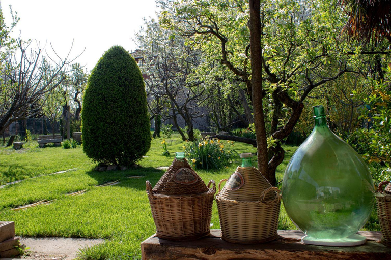 Others 2, Villa Delbia - Il Sogno, Biella