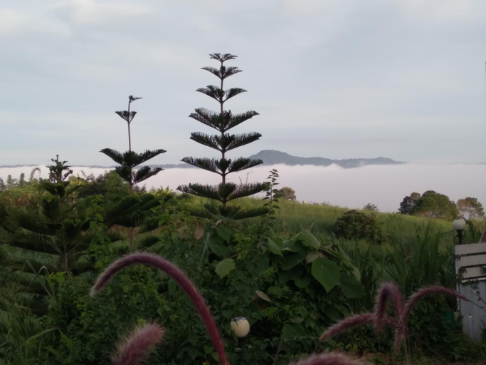 Exterior & Views 5, A&B Miracle Khao Kho, Khao Kho