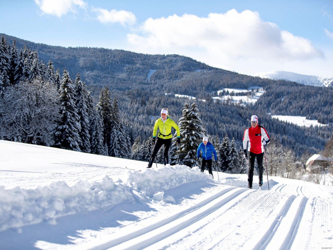 Others 5, Chalet in Austria near Ski Resort, Murau