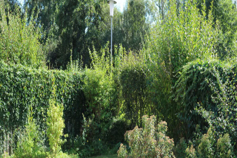 Pool, Borkum Ideal 71 A Comfortable Holiday Residence, Leer
